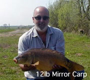 12lb Mirror Carp