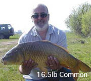 16.5lb Common Carp