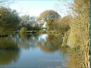 Claxby Fishery has 3 well stocked ponds
