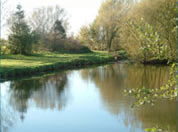 Claxby Fishery is situated in an area of outstanding natural beauty