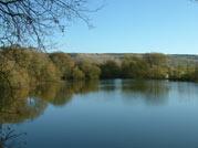 Claxby Fishery has 3 well stocked ponds